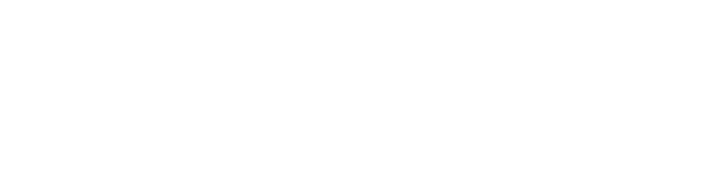 ORLEX CODE Logo